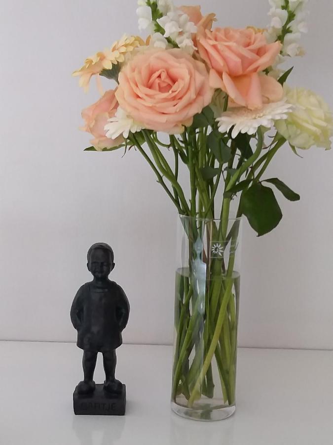 B&B De Notaris Assen Dış mekan fotoğraf